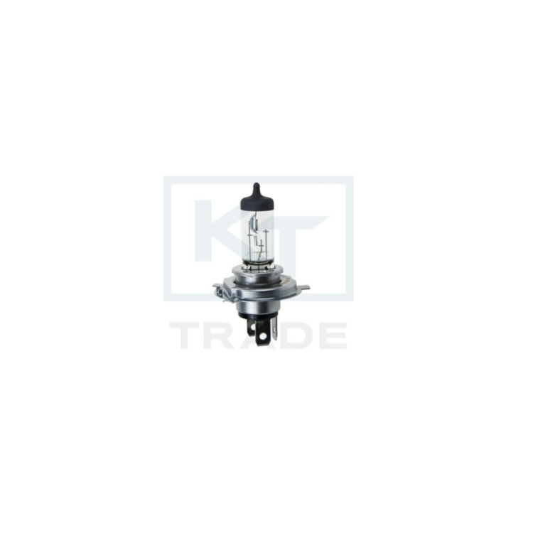 Żarówka halogenowa H4, 12V, 6055W, cokół P43t – komplet 10 szt. TT.H4.12V6055W Raiparts.png