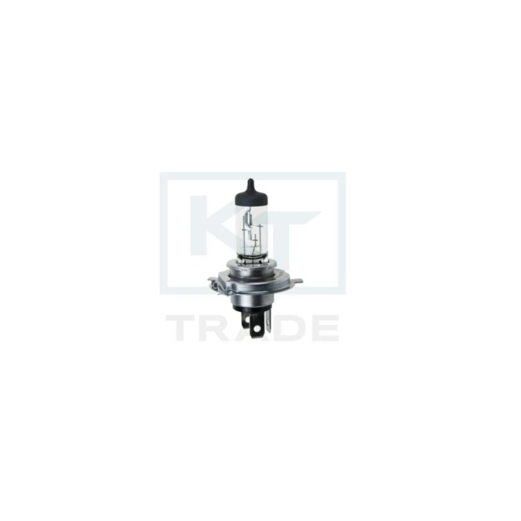 Żarówka halogenowa H4, 12V, 6055W, cokół P43t – komplet 10 szt. TT.H4.12V6055W Raiparts.png