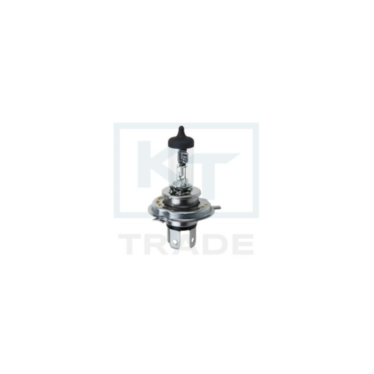 Żarówka halogenowa Long Life, H4, 24V, 7570W, cokół P43t – komplet 10 szt. TT.H4-LL.24V7570W Raiparts.png