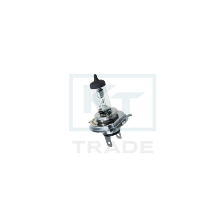 ŻARÓWKA HALOGENOWA LONG LIFE, H4, 24V, 7570W, COKÓŁ P43T – KOMPLET 10 SZT. Raiparts.png