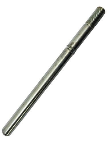 palec-slimaka-cl-648068.jpg