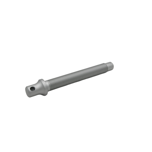 _ŚRUBA M-30x1.8 -6h 959.60.263.2 Raiparts.png