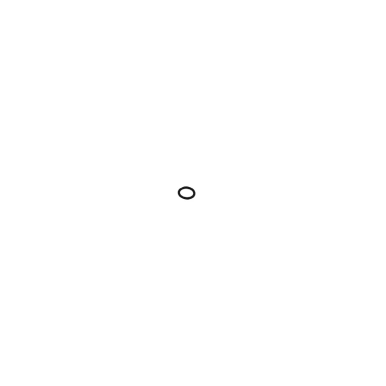 _O-RING 415.577 Raiparts.png